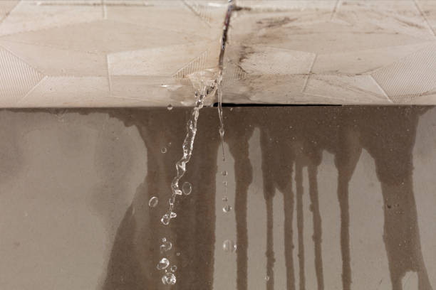 Professional Burst Pipe Cleanup technician working in Covington, WA